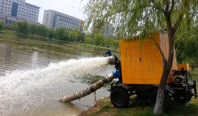 CHW型柴油機大流量泵應用